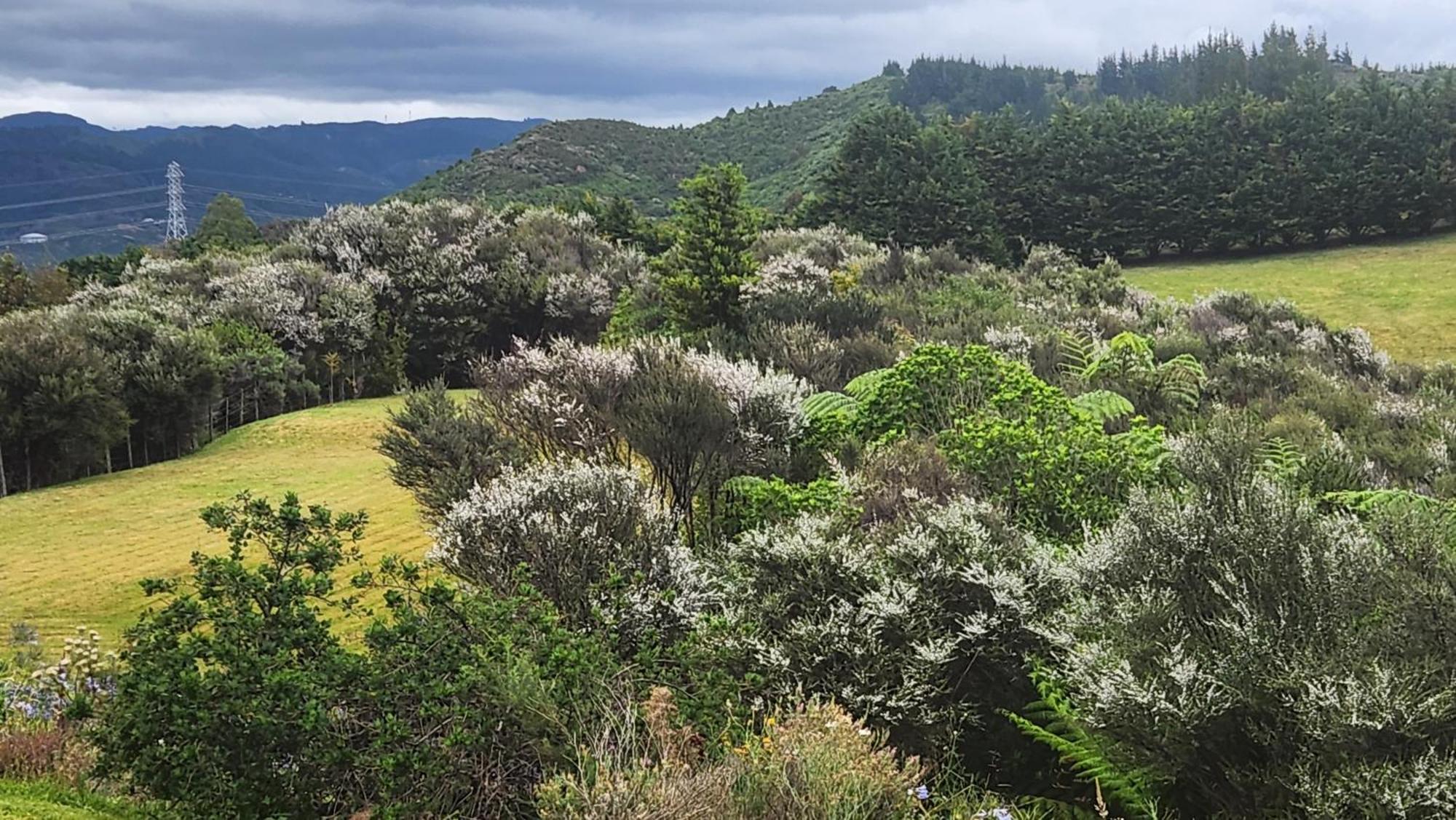 Hotel Boutique Art Retreat Upper Hutt Exterior foto